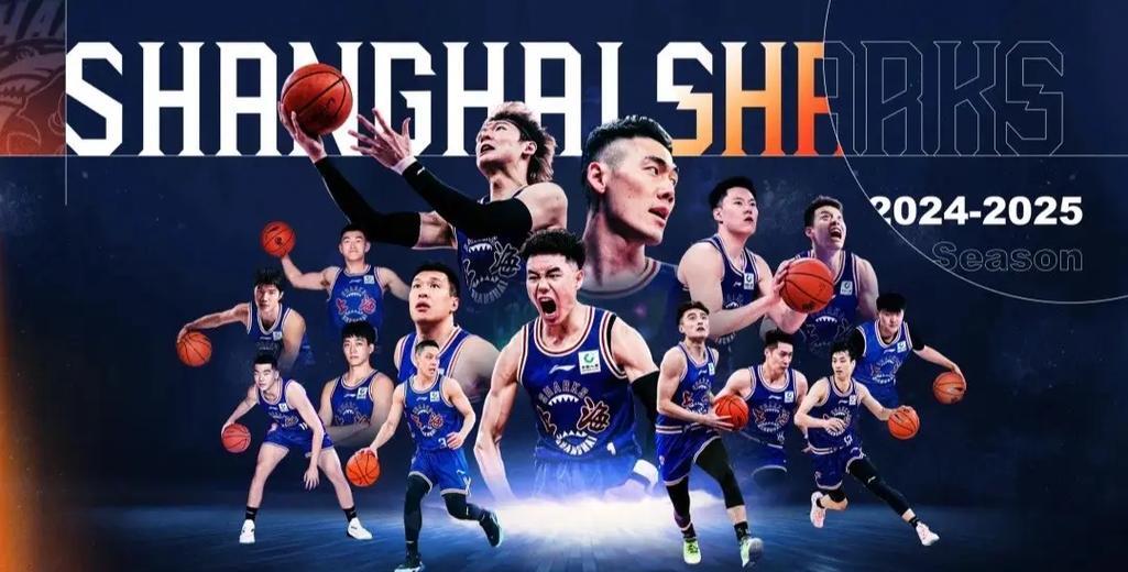 浙江队再胜一场,积分直追前排的简单介绍 浙江队再胜一场,积分直追前排的简单介绍