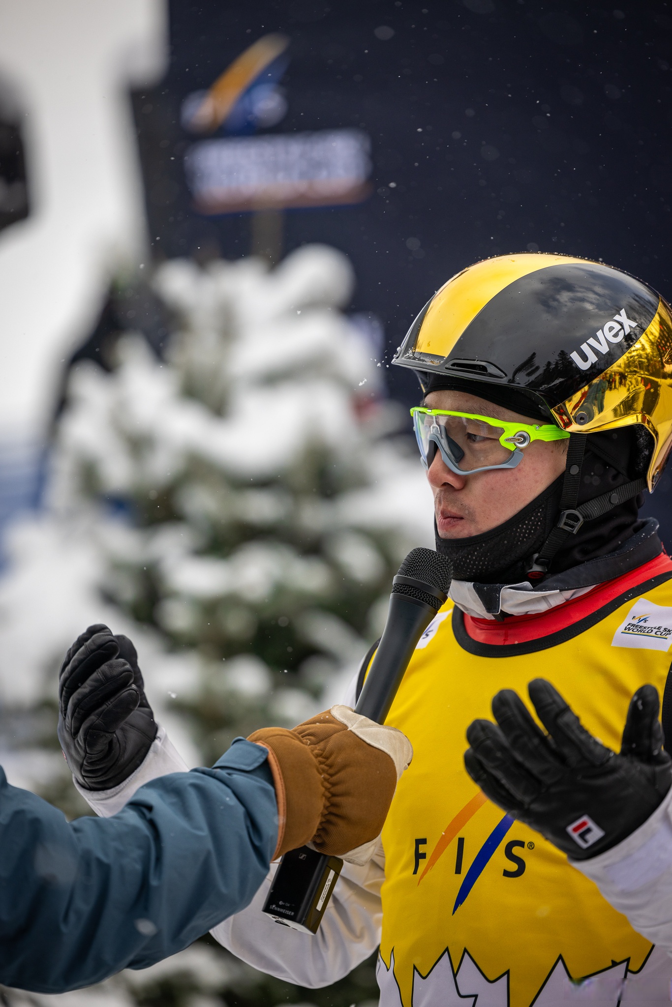 匈牙利选手在自由式滑雪项目中勇夺冠军 匈牙利选手在自由式滑雪项目中勇夺冠军