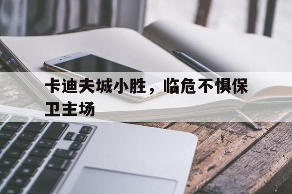 开云体育平台APP-卡迪夫城小胜，临危不惧保卫主场