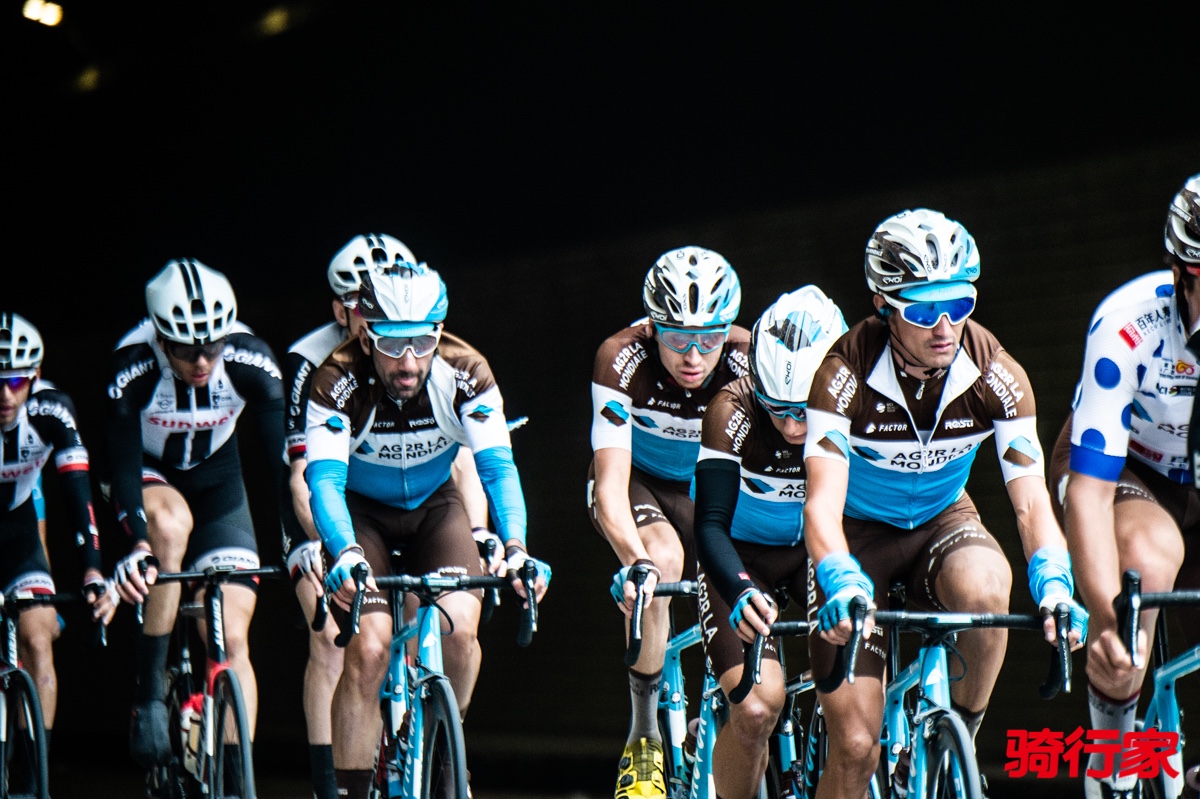 开云体育登录-阿联酋队成功晋级，团结合力向冠军冲刺的简单介绍