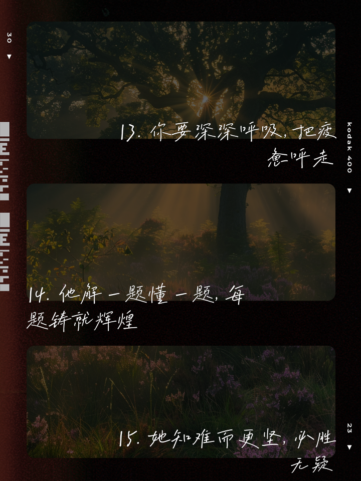 关于披荆斩棘闯入胜利之门,豪取冲刺前四关键航行的信息 关于披荆斩棘闯入胜利之门,豪取冲刺前四关键航行的信息